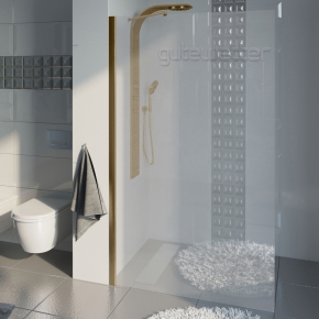 Душевая перегородка TREND DOOR GK-861NAP